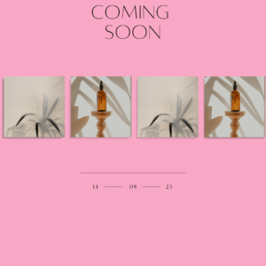 Upcoming Products